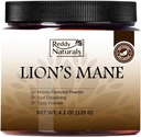 Reddy Naturals Aryana Lion的玛恩粉 - 用Beta Glucan & Acacia Gum快速溶解 - 支持认知功能和免疫健康 - 无糖橙色火焰 - 30种服务