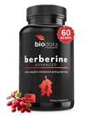Berberine Advanced Plus with 1200mg Berberine - 100mg Ceylon Cinnamon and 100mg 绿茶提取 - 1400mg Per Dose - 120 卡普尔 - 60天供应 - 支持Immune和心血管