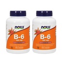 现在维生素B-6 100毫克,250卡普尔(2包)