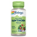 SOLARAY Hawthorn Berry CAPSULES 1050 mg - 舒畅草药支持 - Hawthorn Berry 总体健康支持补充 - 全Berry, Vegan, Non-GMO, 60日保障, 50 服务, 100 Veg CAPs