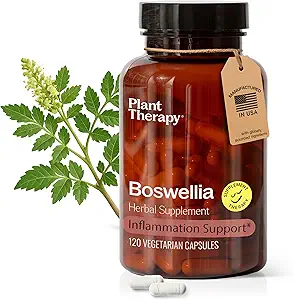 Boswellia 工厂治疗 提取 Capsules 在美国制造 4个月供应支助 联合 灵活性、舒适性、Soothes 不舒服和健康皮肤补充品