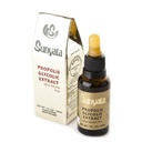 Sunyata Brazilian Green Bee Propolis Liquid Extract – No Alcohol, Natural Immune Support & Antioxidant, Premium Concentrate, 30ML (1 Pack)