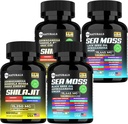 Sea Moss 黑籽油 Ashwagandha 生姜 Capsules, 与涡轮和生姜补充 Bladderwrack Burdock 根组织,ACV 黑籽油 - 240 Sea Moss Capsules