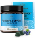 HERBAMAMA 肾上腺支持Gummys - 纯肾上腺复合物 配有 Ashwagandha Root, Rhodiola Rosea & Magnesium - Vegan, Non-GMO - 60 Pectin-Blueberry-Flavored Chews 的妇女补充剂