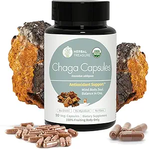 草药珍宝查加蘑菇 粉末卡普尔,功能性蘑菇的蘑菇补充,查加蘑菇能源的灌木和免疫支持,有机蘑菇补充90 Caps