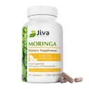 Jiva植物学 摩林加叶提取片 叶粉(由莫林加叶粉和欧里费拉补充剂制成) 90枚叶粉(包1)
