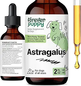 永远的狗狗 Astragalus roots for Dogs - Astragalus Membranaceus Tincure for Dogs' Imune Defense - 草本植物脂液补充 豁免支持和欢乐宠物护理 - 2 oz