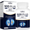 超氧化物分离酶补充500mg - SOD 加上唇膏、AKG、绿茶提取剂、L-Arginine、Lysine、Resveratrol和维生素E用于免疫支持、抗氧化剂60卡普勒