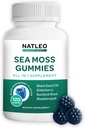 NATLEO USA Sea Moss Gummys 配有长莓,黑种子油和Burdock root - Vegan, Gluten - Free, Non-GMO, 1750mg - 支持每日井 - 在美国制造(120计)