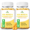 Sea Moss Gummys for Adults and Kids, 2000 mg Raw Seamos, Bladderwrack, Burdock Root, 长老莓, Pepper, 维生素C & D3, 锌支持Immune系统与布尔斯特能源(2-Pack)
