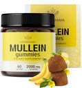 HERBAMAMA Mullein Gummys for Lungs - 2000 mg Mullein Leaf for Lung Detox & Cleanse - Vegan,非GMO,呼吸支持补编 - 60 Pectin-Banana-Flavorished Chews