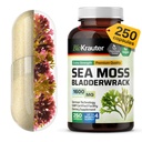 BIO KRAUTER 爱尔兰海 蚊子 Capsules 1600 mg - 250 mg - 250 mg - Vegan Bladderwrack 配有 Chondrus Crispus Sea Moss 补编