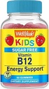 (原始内容存档于2017-09-26). Wellyeah Kid's Vitamin B12 1000mcg Sugar Free Gummys – 饮食补充 – 能源与代谢支持 – 草莓 Flavor – 60 Count