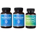Zentastic 2 Pack 4-in-1 镁复合物 - 氯化镁 Glycnate, Malate, Taulate & Laactate & 1 Pack Probiotics & Prebiotics 补充物