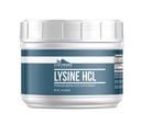 土生元素 Lysine HCL 粉末(1.5磅),永远纯净,无填充剂或添加剂