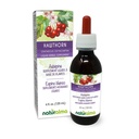 Naturalma Hawthorn (Crataegus oxyacantha) 叶和花无酒精丁香 - 4 fl oz 滴水液提取 - 草药补充 - Vegan