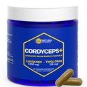 Cordyceps Mushroom Capsules - 1000mg Cordyceps 提取 & 125mg Yerba Mate 提取 - 100% 果品体蘑菇补充 - 支持脑能和认知性能 - 60 Yerba Mate Capsules