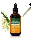 草药认证有机Astragalus液体提取物,用于免疫系统支持 - 4 Ounce