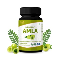 Amla 120块牌匾 – USDA有机印度鹅莓 – 富含维生素C和支持免疫健康*