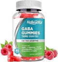 GABA Gummys,《成人无糖压力救济用品》,高概率GABA L-Tenine 配有镁,Ashwagandha, 5-HTP & Vitamin B6,Zzz & Brain Health, Vegan, 60