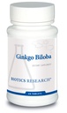 生物学研究 Ginkgo Biloba 标准化 24% Ginkgo Biloba Percent 提取、大脑补充、诺特罗比克、焦点、能源、记忆、健康老龄化 60块板块