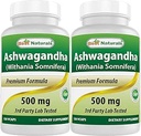 Best Naturals Ashwagandha 摘录 500 Mg 120 卡普勒斯(2包)