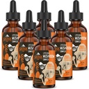 Liposomal 蘑菇复合物 Drops 2000 MG - 20 有机蘑菇提取器 - 豁免、认知和记忆高级液体公式 - Lions Mane补编, Reishi, Cordyceps, Chaga, 180 服务
