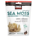 强制因子海 Moss 咀嚼一种每日井和抗氧化剂 支持一种盐酸焦糖(30软咀嚼)