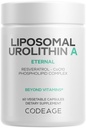 编码:Liposomal Urolithin A Supplement 500 mg Pervice + Reveratrol, Betaine, CoQ10, Ellagitannins - NADH、NMN、NAD、NR和PQQ维生素 - 生物可用量 - 60卡普苏尔