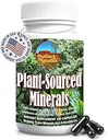 Fulvic Humic Mineral Blend of Plant-Sourced Trace Minerals, Electrolytes, Gut Health, 认知和免疫支持,纯生命力增强公式 - 120卡普尔