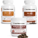 真正的蘑菇 Reishi & Cordyces for Humans & Mushroom Pet Relax Chews - Bundle for Relaxation, Energy & 豁免 - Vegan, Non-GMO, Gluten - Free, Grain - Free Mushroom 摘录补编