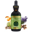 Go Nutrients Inteinal Edge – Gut Cleanse for Human with Wormwood, Black Walnut, Clove – Detox Liquids for Men, Men, Children and Altors - 有机草药支持消化与健康 – 2oz
