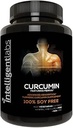 智能实验室 250MG Curcumin Phytosome, 2900% 更好的吸附比普通的 Turmeric Curcumin, 100% 自由大豆, 120个瓶子