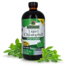 天然溶液氯phy,100 mg,16 fl oz(480 ml)