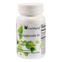 碎裂-超吸附 Astragaloside IV 98% 50mg 30 Capsule 抗衰老DNA细胞 Telomere Astragalus 根基补充