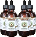肉桂无酒精液体提取,肉桂(Cinnamomum Verum) 干巴克甘油(Glycerite) 夏威夷药草天然草药补充4x4 oz