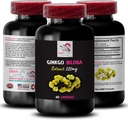 Ginkgo biloba 补充剂 - Ginkgo BILABA 提取剂 - 天然抗氧化剂提取剂,草药抗氧化剂支持,Ginkgo biloba 福利,植物提取剂补充剂,植物基抗氧化剂 1 瓶60 Caps