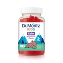 DR. MORITZ 儿童与成年人的无糖冷却镁 -- -- 非GMO 镁