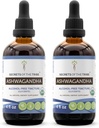 Ashwagandha Tincture 无酒精提取, USDA有机 Ashwagandha Withania Somnifera 抗压力与放松 2x4 OZ