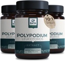 Leucotomos polypodium 提取 10:1, 240 mg,120 Veg Capsules - 支持自然健康皮肤护理 - 抗氧化剂 - 自然皮肤 - 蔬菜,非转基因生物4个月供应