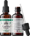 Plantago Tincure, 有机计划提取物(Plantago Major) 干叶健康补充剂, 冷椒有机蔬菜中的非GMO 2 oz, 670 mg