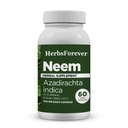 Herbsforever Neem Capsules Azadirachta Indica Skin 补充 60 Vege Capsules 猪笼草
