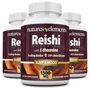 Reishi蘑菇提取 – 10:1 浓度 – 1000mg – 60平板电脑 – 包3 – 免疫支持 – 蔬菜安全 – Gluten Free – Ganoderma Lucidum