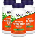 现在食品 Stinging Nettle 根提取器 250mg, Veg-Capules, 90-Count (Pack of 3)