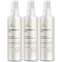 Swanson Magnesium Oil Spray Zechstein Magnesium Soothes Muscles Nourishes Skin Stress Relief Sleep Rapid Absorption Dr. Barbara Hendel's Formula 8 fl oz (237 ml) Liquid (3 Pack)