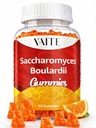 Saccharomyces Boulardii Probiocts 500mg - 古特健康补充剂和Candida支持、妇女和男子的Probiocit、消化和免疫支持,补充、非GMO、Gluten Free、60 Vegan Gummys