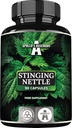 APOLLO的HEGEMONY Sting Nettle 500 mg - 高强度提取 DER 4:1,90 Vegan Capsules,3个月供应,草药补充支持心血管健康