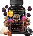 Shilajit Pure Himalayan 有机固醇 - 免疫支持,能源支持补充剂 - Shilajit Resin Lions Mane, Cordyceps, Reishi, Turkish Tail, Chaga, Shiitake Mushroom Gummys (120吨)
