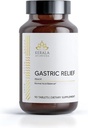 Kerala Ayurveda 胃解药草药片 健康胃酸平衡的自然预生 胃解药和气体的解药 艾滋病 正常消化 - 90个计数