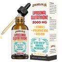 Liposomal Glutathione Liquid 2000MG – 女性和男性抗氧化剂除毒补充剂,老化防御,肝功能和能量,配有Hyaluronic Acid + Aloe Vera + Vitamin C, Natural & Vegan, 2 FL.OZ